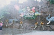 003-Rainforest Cafe in Downtown Disney